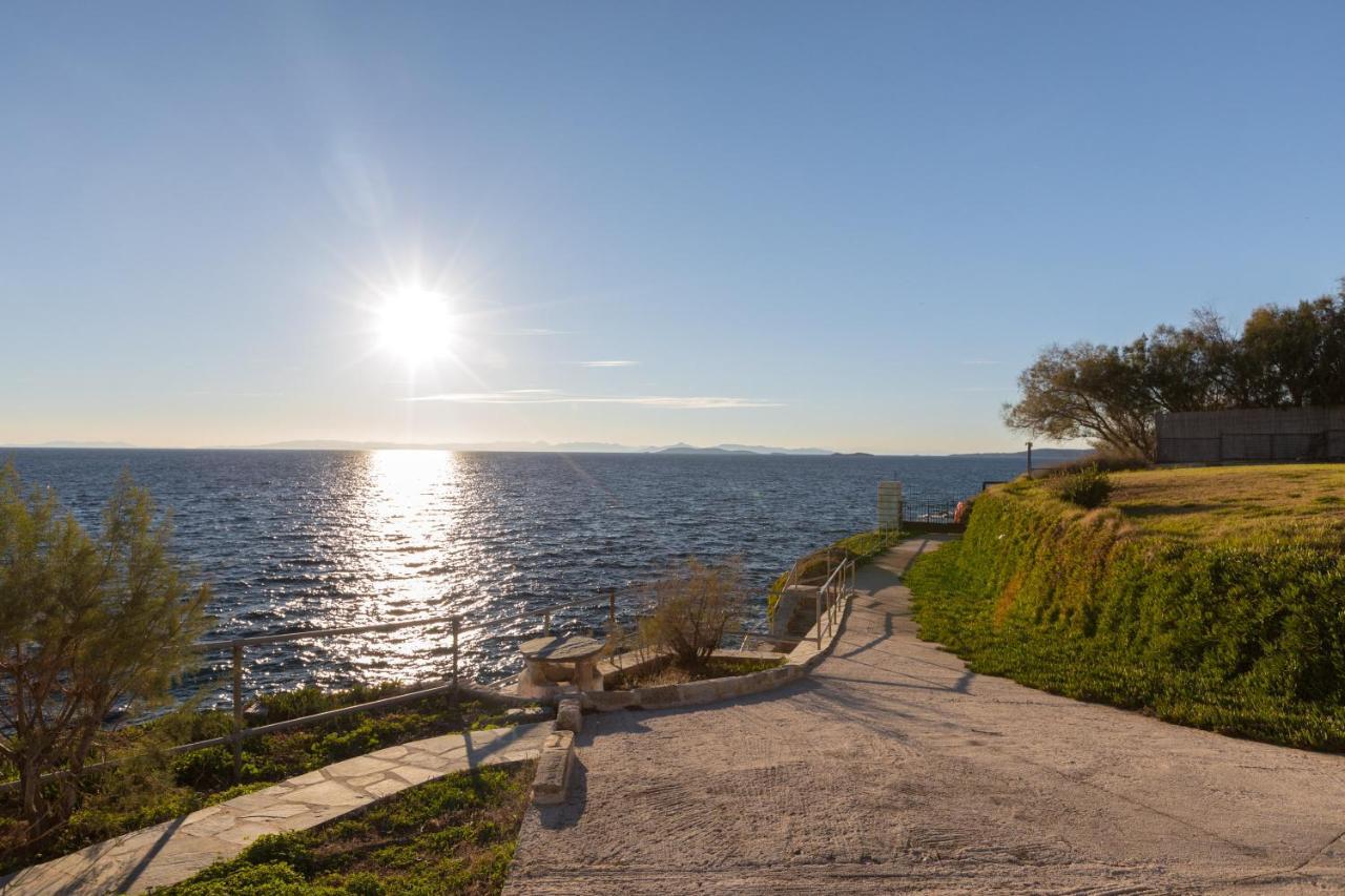 Luxurious Villa Philoxenia Lagonisi Bagian luar foto